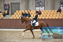 Filename=PT9_6478.JPG
Filesize=813KiB
Dimensions=1166x776
Date added=Oct 15, 2022 PT9_6478.JPG