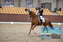 Filename=PT9_6479.JPG
Filesize=434KiB
Dimensions=1224x817
Date added=Oct 15, 2022 PT9_6479.JPG