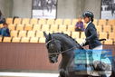 Filename=PT9_6483.JPG
Filesize=296KiB
Dimensions=1224x817
Date added=Oct 15, 2022 PT9_6483.JPG