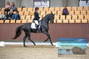 Filename=PT9_6484.JPG
Filesize=413KiB
Dimensions=1224x817
Date added=Oct 15, 2022 PT9_6484.JPG
