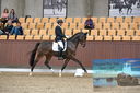Filename=PT9_6498.JPG
Filesize=823KiB
Dimensions=1166x776
Date added=Oct 15, 2022 PT9_6498.JPG