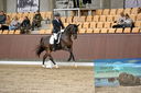Filename=PT9_6507.JPG
Filesize=801KiB
Dimensions=1152x768
Date added=Oct 15, 2022 PT9_6507.JPG