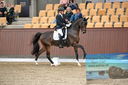 Filename=PT9_6509.JPG
Filesize=784KiB
Dimensions=1140x760
Date added=Oct 15, 2022 PT9_6509.JPG
