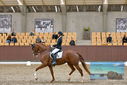 Filename=PT9_7369.JPG
Filesize=432KiB
Dimensions=1224x817
Date added=Oct 15, 2022 PT9_7369.JPG