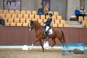 Filename=PT9_7370.JPG
Filesize=401KiB
Dimensions=1224x817
Date added=Oct 15, 2022 PT9_7370.JPG
