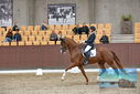 Filename=PT9_7373.JPG
Filesize=360KiB
Dimensions=1224x817
Date added=Oct 15, 2022 PT9_7373.JPG