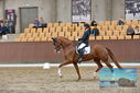 Filename=PT9_7374.JPG
Filesize=401KiB
Dimensions=1224x817
Date added=Oct 15, 2022 PT9_7374.JPG