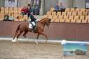 Filename=PT9_7376.JPG
Filesize=434KiB
Dimensions=1224x817
Date added=Oct 15, 2022 PT9_7376.JPG
