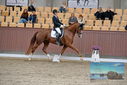 Filename=PT9_7377.JPG
Filesize=433KiB
Dimensions=1224x817
Date added=Oct 15, 2022 PT9_7377.JPG