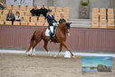 Filename=PT9_7378.JPG
Filesize=413KiB
Dimensions=1224x817
Date added=Oct 15, 2022 PT9_7378.JPG