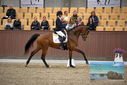 Filename=PT9_8094.JPG
Filesize=409KiB
Dimensions=1224x817
Date added=Oct 18, 2022 PT9_8094.JPG