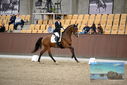 Filename=PT9_8095.JPG
Filesize=399KiB
Dimensions=1224x817
Date added=Oct 18, 2022 PT9_8095.JPG