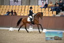 Filename=PT9_8096.JPG
Filesize=385KiB
Dimensions=1224x817
Date added=Oct 18, 2022 PT9_8096.JPG
