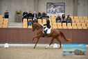 Filename=PT9_8097.JPG
Filesize=363KiB
Dimensions=1224x817
Date added=Oct 18, 2022 PT9_8097.JPG