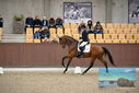 Filename=PT9_8098.JPG
Filesize=356KiB
Dimensions=1224x817
Date added=Oct 18, 2022 PT9_8098.JPG