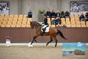 Filename=PT9_8099.JPG
Filesize=385KiB
Dimensions=1224x817
Date added=Oct 18, 2022 PT9_8099.JPG