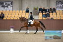 Filename=PT9_8100.JPG
Filesize=407KiB
Dimensions=1224x817
Date added=Oct 18, 2022 PT9_8100.JPG