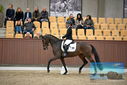 Filename=PT9_8105.JPG
Filesize=389KiB
Dimensions=1224x817
Date added=Oct 18, 2022 PT9_8105.JPG