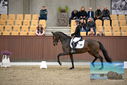 Filename=PT9_8109.JPG
Filesize=372KiB
Dimensions=1224x817
Date added=Oct 18, 2022 PT9_8109.JPG