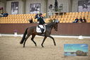 Filename=PT9_8111.JPG
Filesize=421KiB
Dimensions=1224x817
Date added=Oct 18, 2022 PT9_8111.JPG