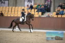 Filename=PT9_8114.JPG
Filesize=414KiB
Dimensions=1224x817
Date added=Oct 18, 2022 PT9_8114.JPG