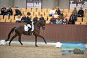 Filename=PT9_8115.JPG
Filesize=410KiB
Dimensions=1224x817
Date added=Oct 18, 2022 PT9_8115.JPG