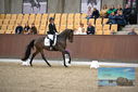 Filename=PT9_8117.JPG
Filesize=380KiB
Dimensions=1224x817
Date added=Oct 18, 2022 PT9_8117.JPG