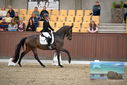 Filename=PT9_8118.JPG
Filesize=379KiB
Dimensions=1224x817
Date added=Oct 18, 2022 PT9_8118.JPG