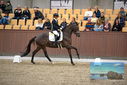 Filename=PT9_8121.JPG
Filesize=411KiB
Dimensions=1224x817
Date added=Oct 18, 2022 PT9_8121.JPG