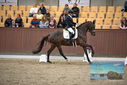Filename=PT9_8122.JPG
Filesize=401KiB
Dimensions=1224x817
Date added=Oct 18, 2022 PT9_8122.JPG