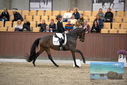 Filename=PT9_8123.JPG
Filesize=372KiB
Dimensions=1224x817
Date added=Oct 18, 2022 PT9_8123.JPG