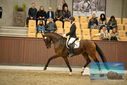 Filename=PT9_8127.JPG
Filesize=398KiB
Dimensions=1224x817
Date added=Oct 18, 2022 PT9_8127.JPG