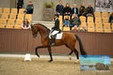 Filename=PT9_8130.JPG
Filesize=358KiB
Dimensions=1224x817
Date added=Oct 18, 2022 PT9_8130.JPG