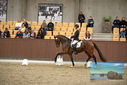 Filename=PT9_8133.JPG
Filesize=381KiB
Dimensions=1224x817
Date added=Oct 18, 2022 PT9_8133.JPG