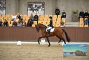 Filename=PT9_8135.JPG
Filesize=418KiB
Dimensions=1224x817
Date added=Oct 18, 2022 PT9_8135.JPG