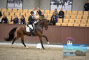 Filename=PT9_8142.JPG
Filesize=393KiB
Dimensions=1224x817
Date added=Oct 18, 2022 PT9_8142.JPG