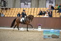 Filename=PT9_8145.JPG
Filesize=381KiB
Dimensions=1224x817
Date added=Oct 18, 2022 PT9_8145.JPG