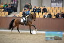 Filename=PT9_8146.JPG
Filesize=392KiB
Dimensions=1224x817
Date added=Oct 18, 2022 PT9_8146.JPG