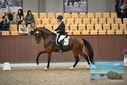 Filename=PT9_8149.JPG
Filesize=417KiB
Dimensions=1224x817
Date added=Oct 18, 2022 PT9_8149.JPG