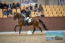 Filename=PT9_8150.JPG
Filesize=388KiB
Dimensions=1224x817
Date added=Oct 18, 2022 PT9_8150.JPG