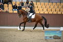 Filename=PT9_8151.JPG
Filesize=348KiB
Dimensions=1224x817
Date added=Oct 18, 2022 PT9_8151.JPG