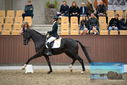 Filename=PT9_8160.JPG
Filesize=407KiB
Dimensions=1224x817
Date added=Oct 18, 2022 PT9_8160.JPG