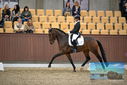 Filename=PT9_8162.JPG
Filesize=375KiB
Dimensions=1224x817
Date added=Oct 18, 2022 PT9_8162.JPG