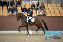 Filename=PT9_8164.JPG
Filesize=388KiB
Dimensions=1224x817
Date added=Oct 18, 2022 PT9_8164.JPG