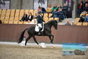 Filename=PT9_8166.JPG
Filesize=391KiB
Dimensions=1224x817
Date added=Oct 18, 2022 PT9_8166.JPG