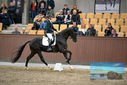 Filename=PT9_8167.JPG
Filesize=389KiB
Dimensions=1224x817
Date added=Oct 18, 2022 PT9_8167.JPG