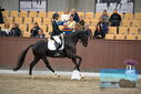 Filename=PT9_8168.JPG
Filesize=389KiB
Dimensions=1224x817
Date added=Oct 18, 2022 PT9_8168.JPG