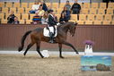 Filename=PT9_8172.JPG
Filesize=383KiB
Dimensions=1224x817
Date added=Oct 18, 2022 PT9_8172.JPG