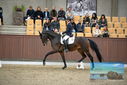 Filename=PT9_8176.JPG
Filesize=423KiB
Dimensions=1224x817
Date added=Oct 18, 2022 PT9_8176.JPG