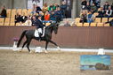 Filename=PT9_8182.JPG
Filesize=399KiB
Dimensions=1224x817
Date added=Oct 18, 2022 PT9_8182.JPG